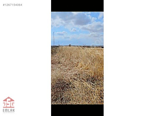 Babaeski Sinanlı Köyü'nde Satılık 1197 m2 küçük 7