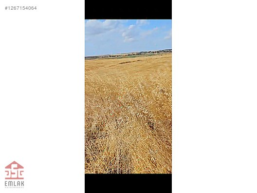 Babaeski Sinanlı Köyü'nde Satılık 1197 m2 küçük 8