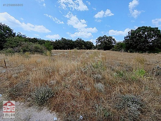 Sınır Kapısına Yakın, Yol Cepheli Yatırımlık Fırsat! küçük 1