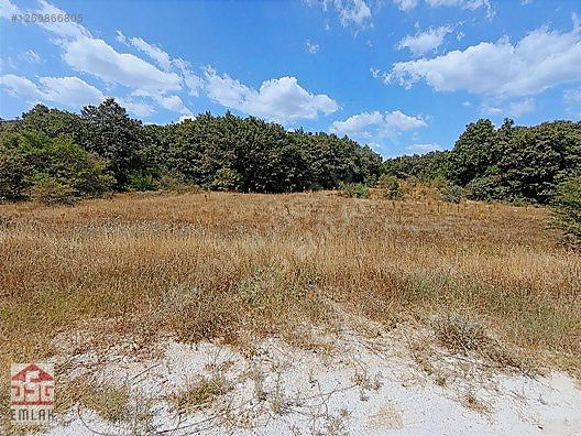 Sınır Kapısına Yakın, Yol Cepheli Yatırımlık Fırsat! küçük 2